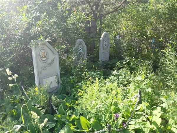 Коротыч Анатолий Александрович