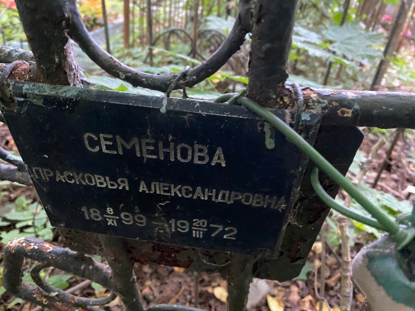 Семенова Прасковья Александровна