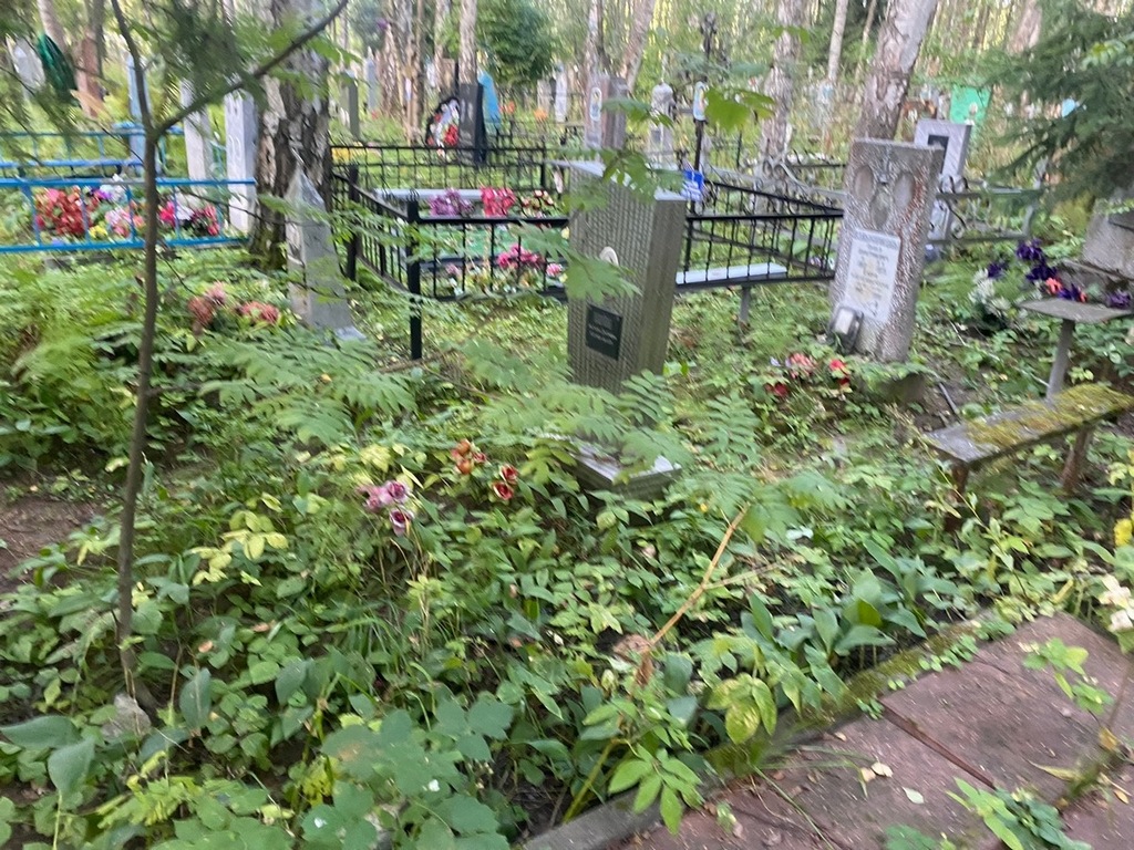 Царева Анастасия Дмитриевна