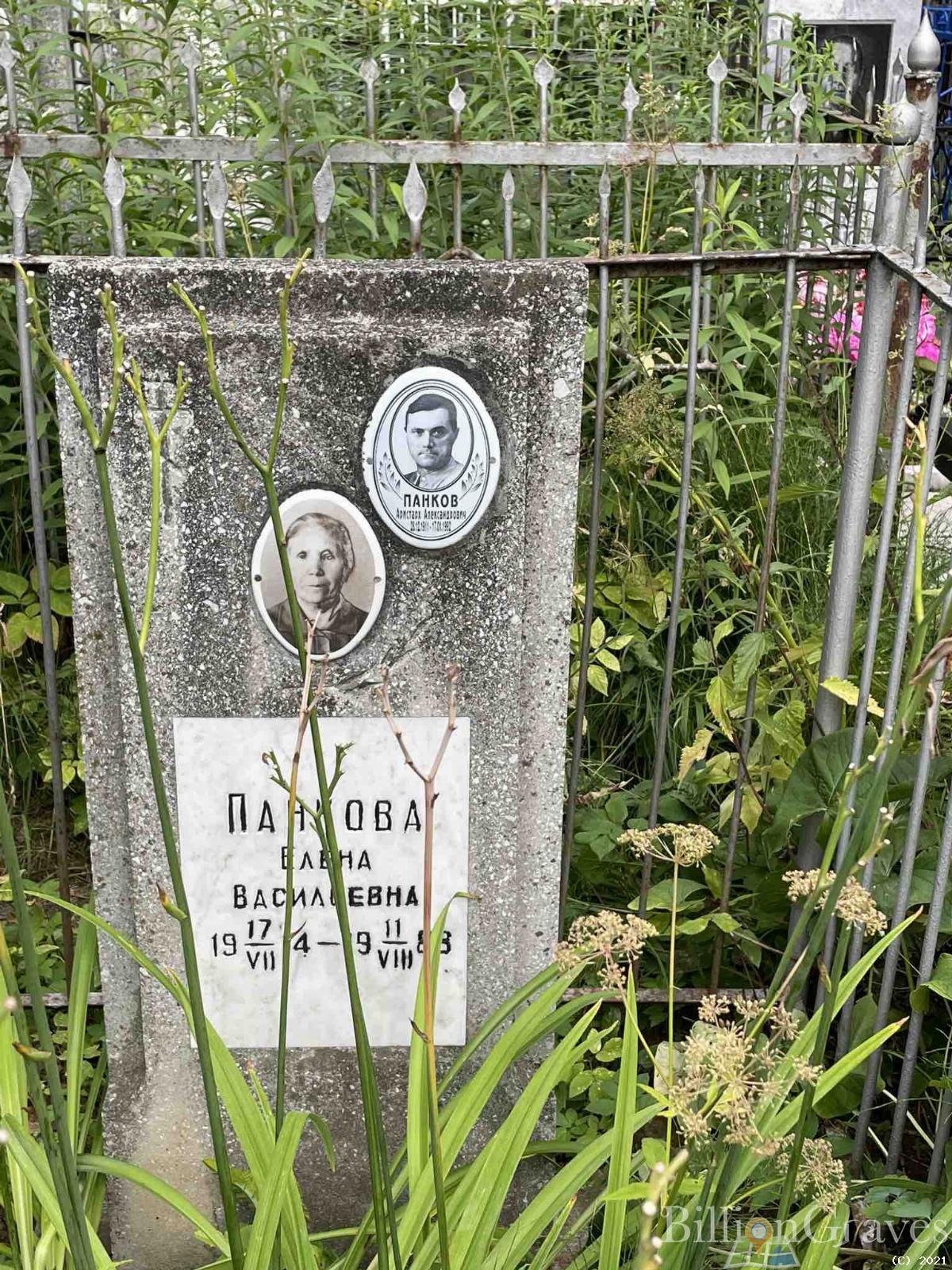 Панкова Елена Васильевна