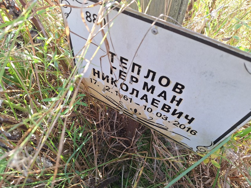 Герман Теплов Николаевич