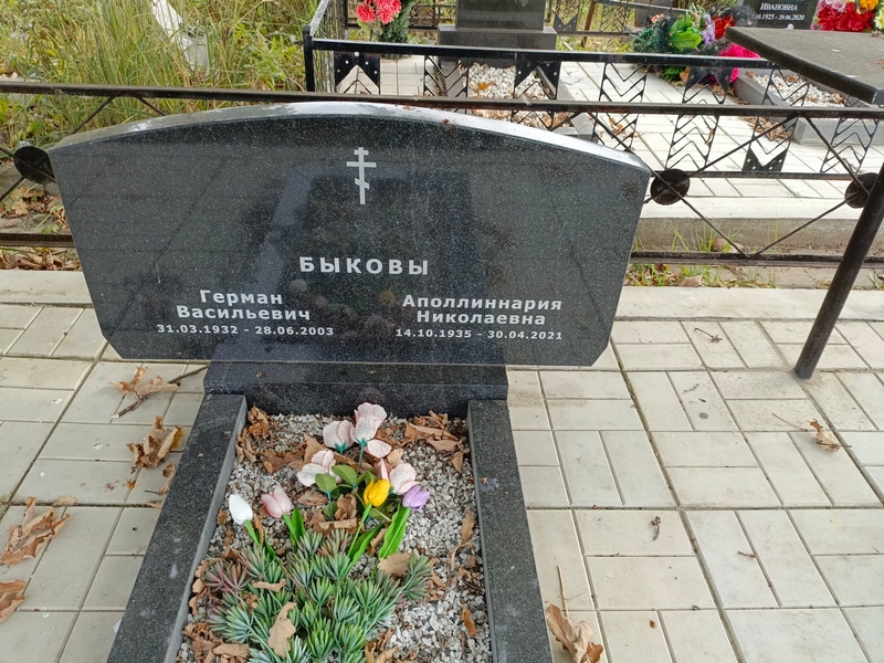 Герман Быков Васильевич