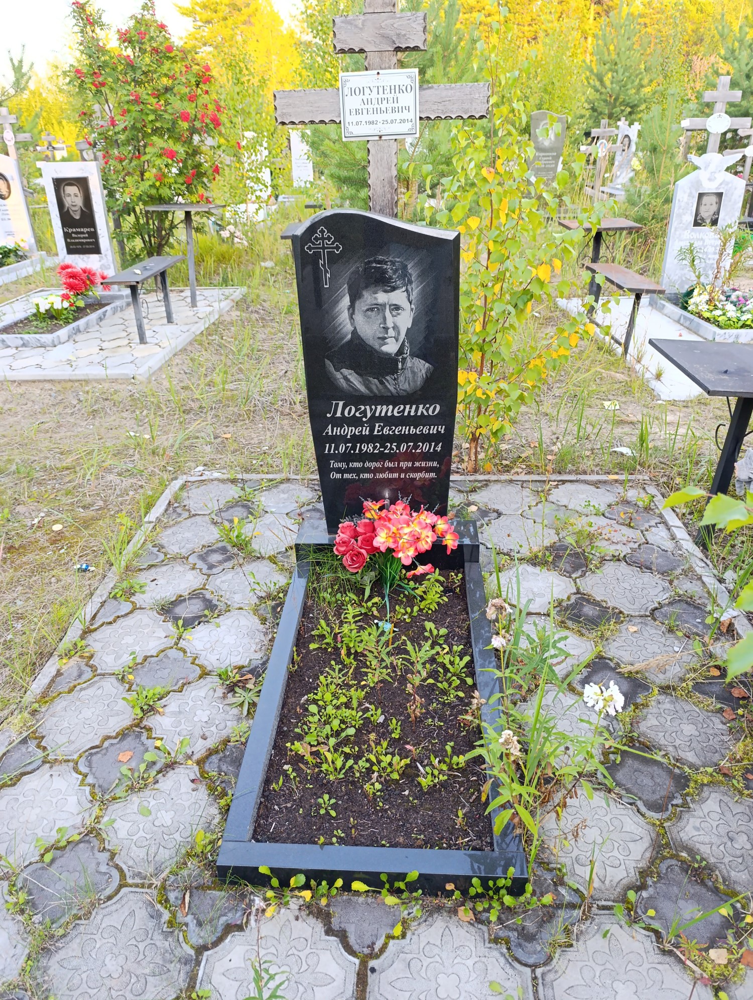 Логутенко Андрей Евгеньевич