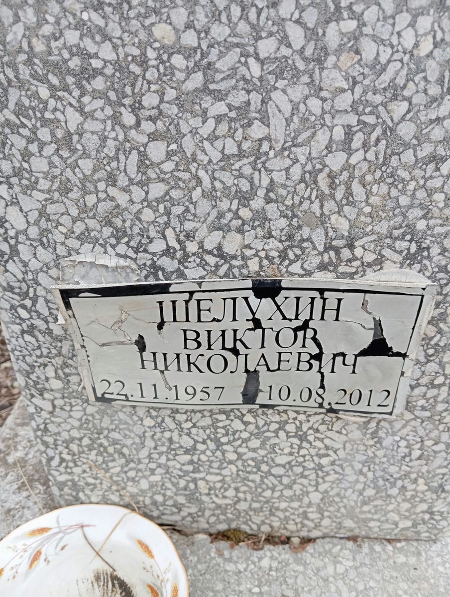 Шелухин Виктор Николаевич