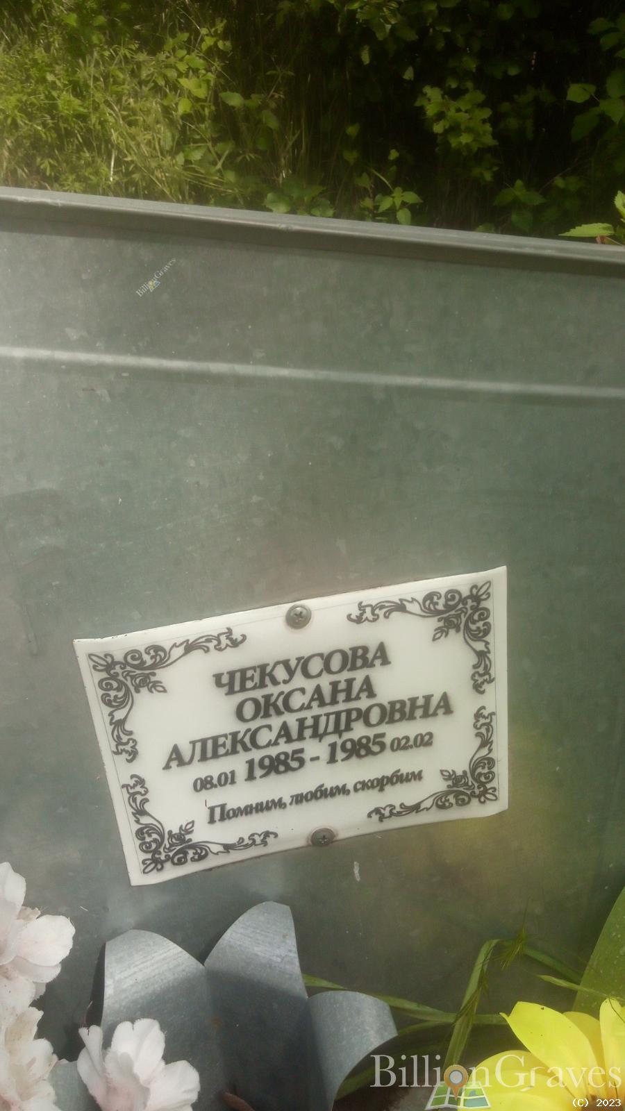 Чекусова Оксана Александровна
