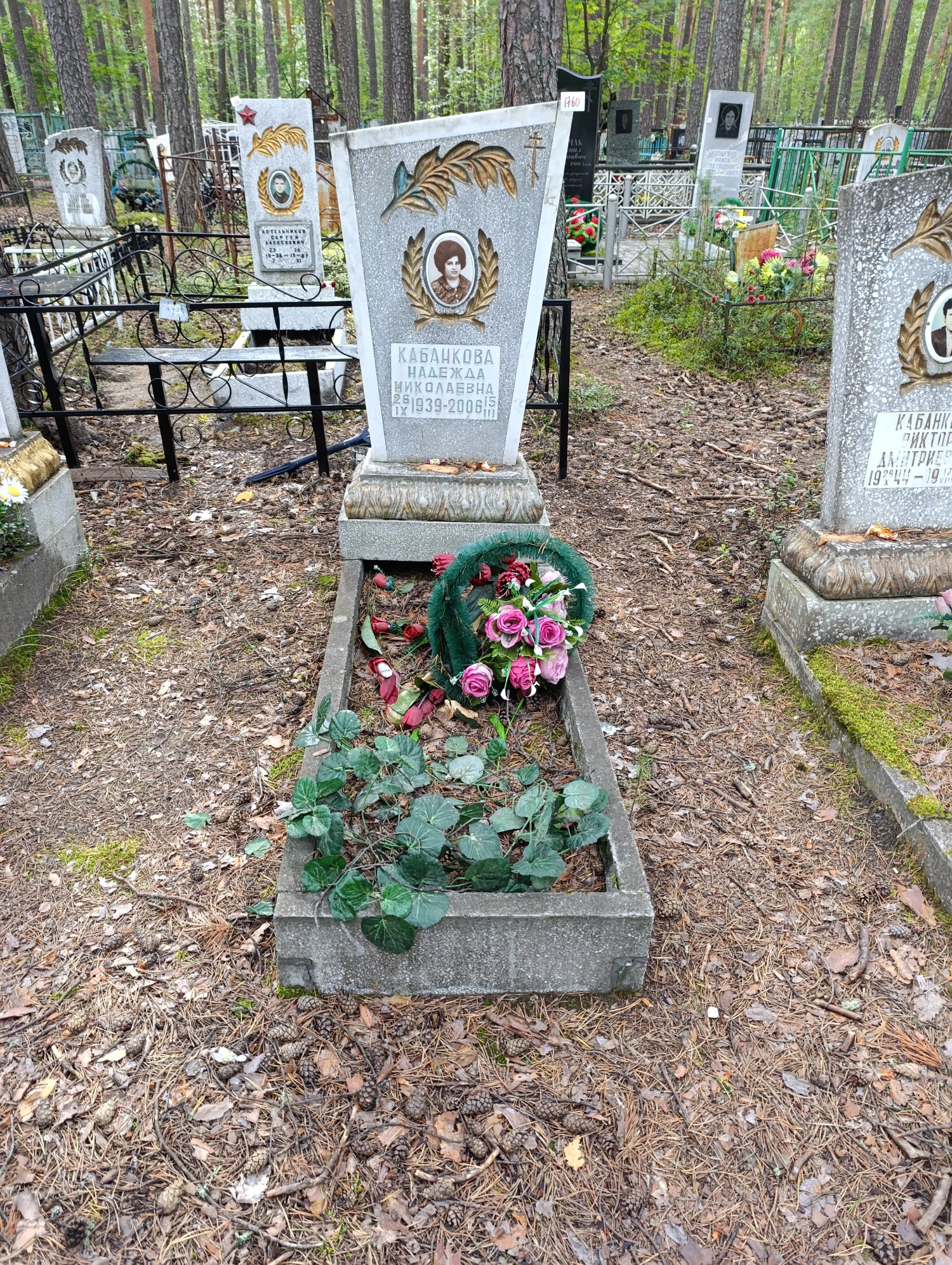 Кабанкова Надежда Николаевна