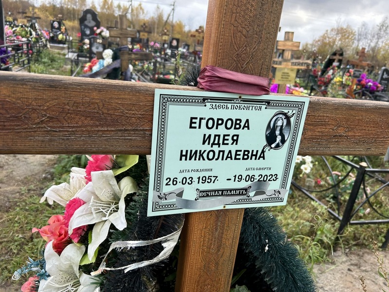 Идея Егорова Николаевна