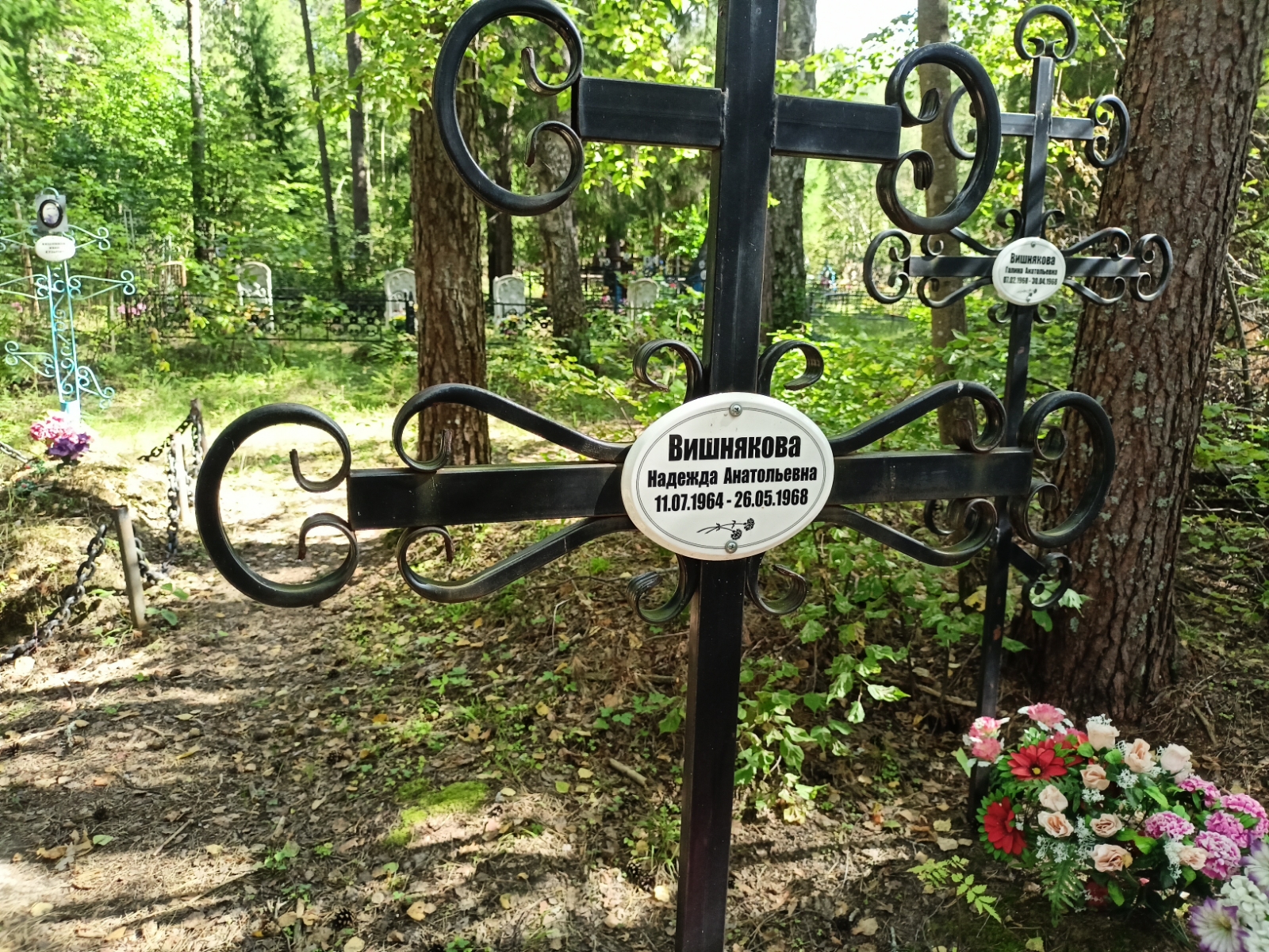 Вишнякова Надежда Анатольевна