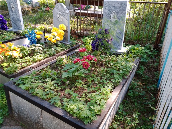 Тимофеева Александра Дмитриевна
