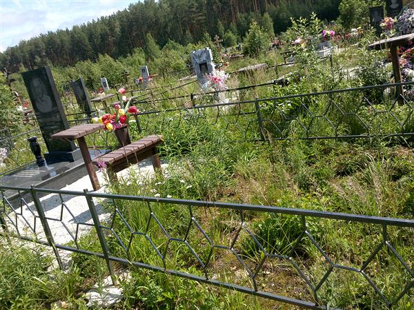 Шапошников Сергей Николаевич