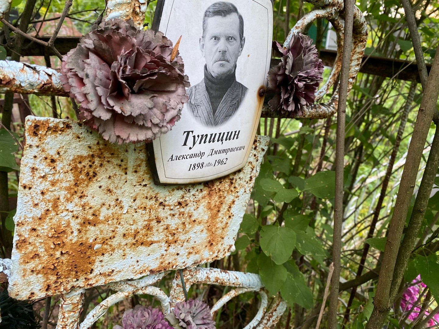 Тупицин