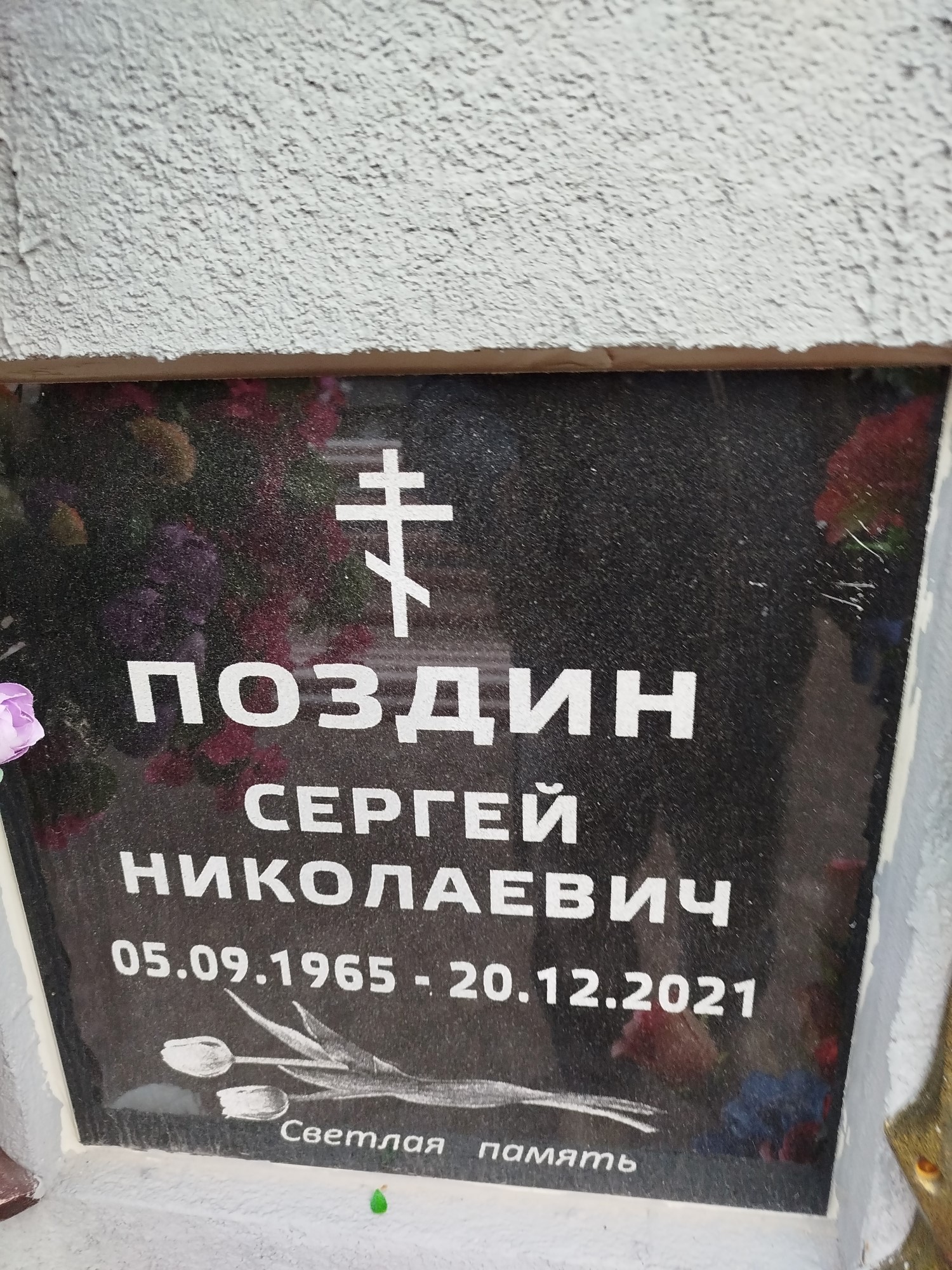 Поздин Сергей Николаевич