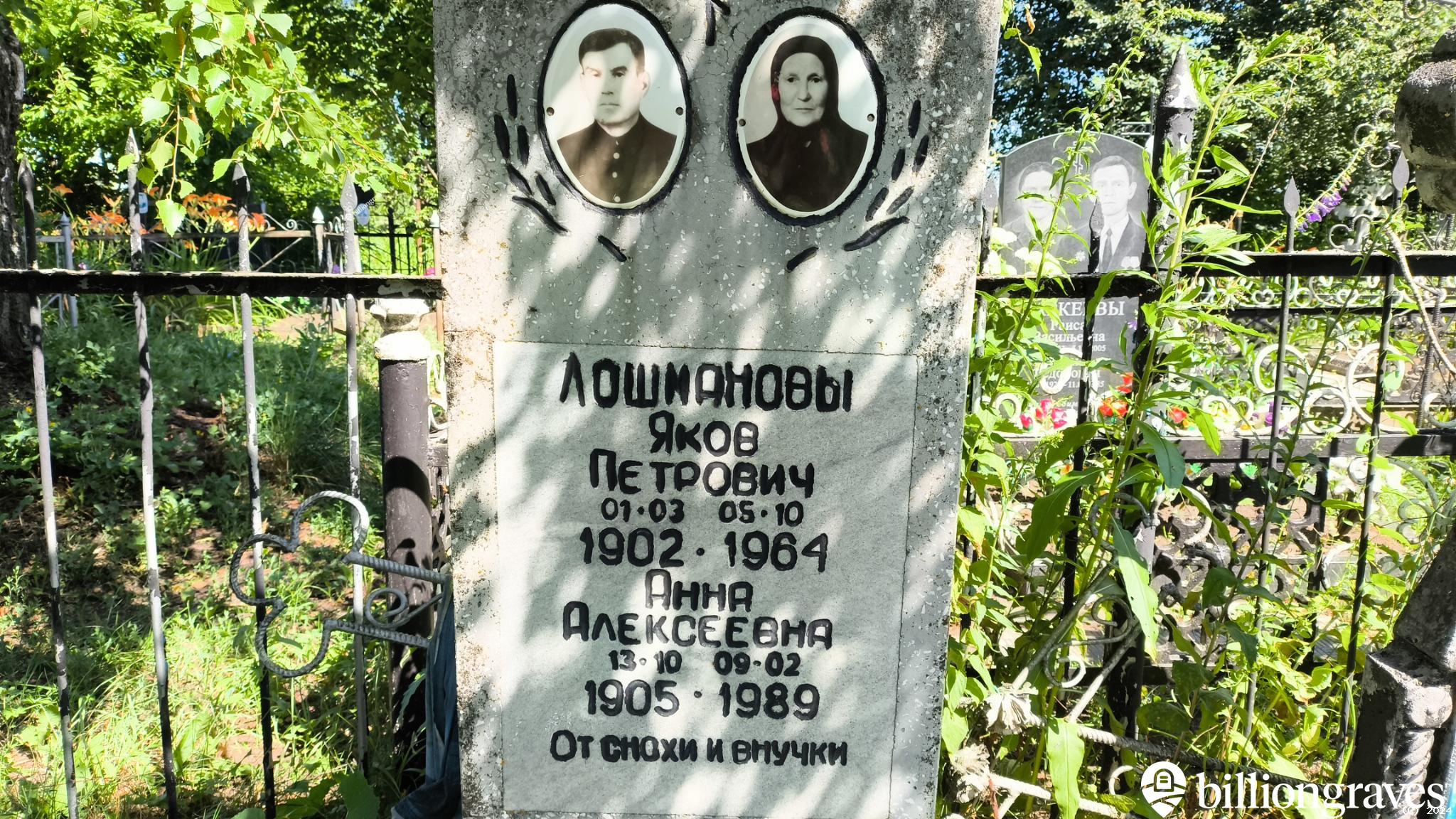 Лошманова Анна Алексеевна