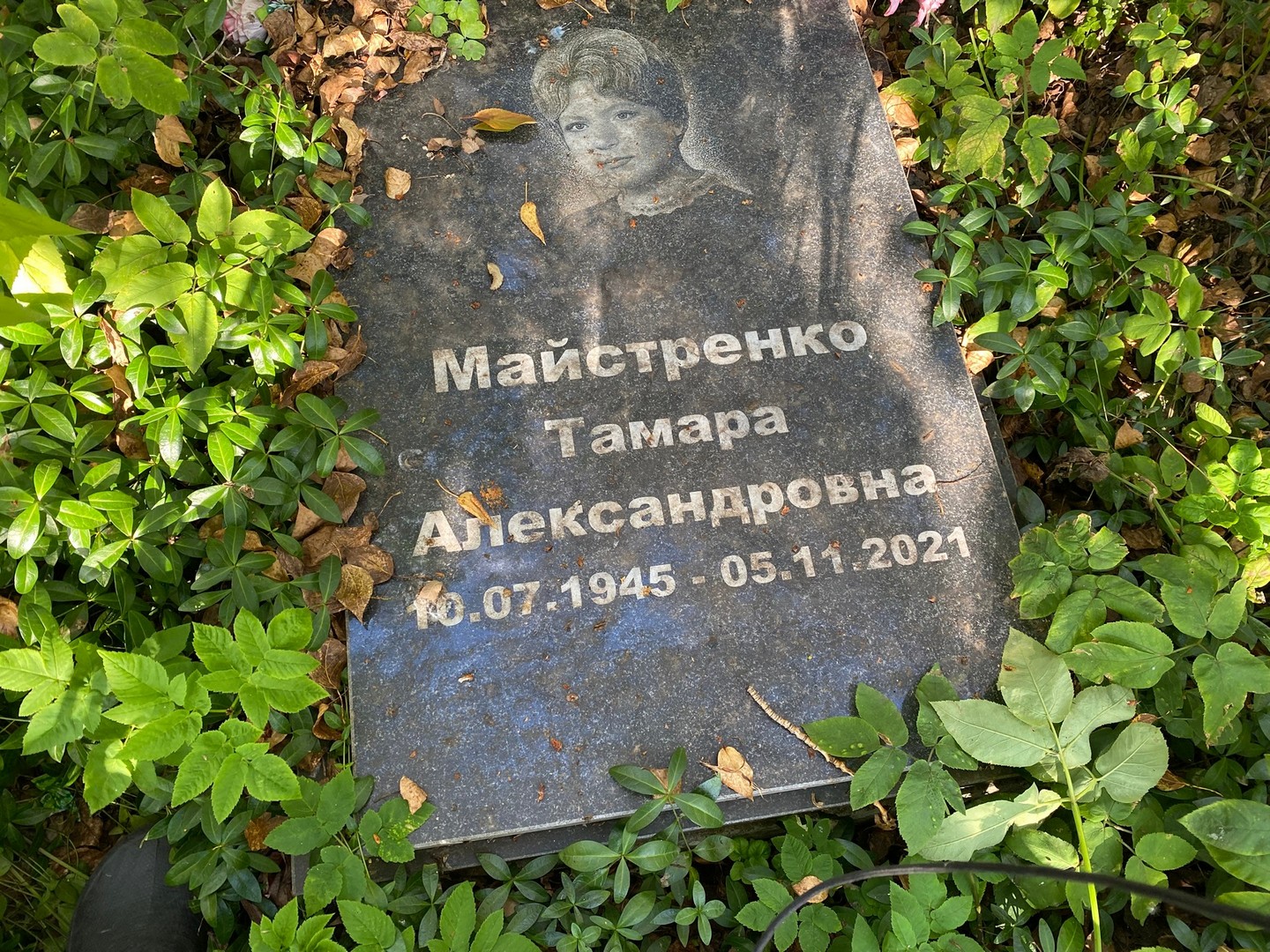 Майстренко
