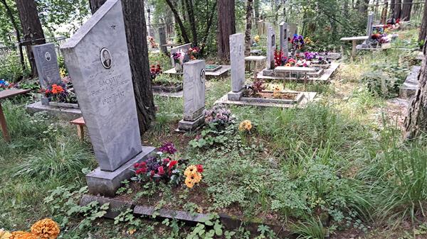 Васютин Николай Степанович
