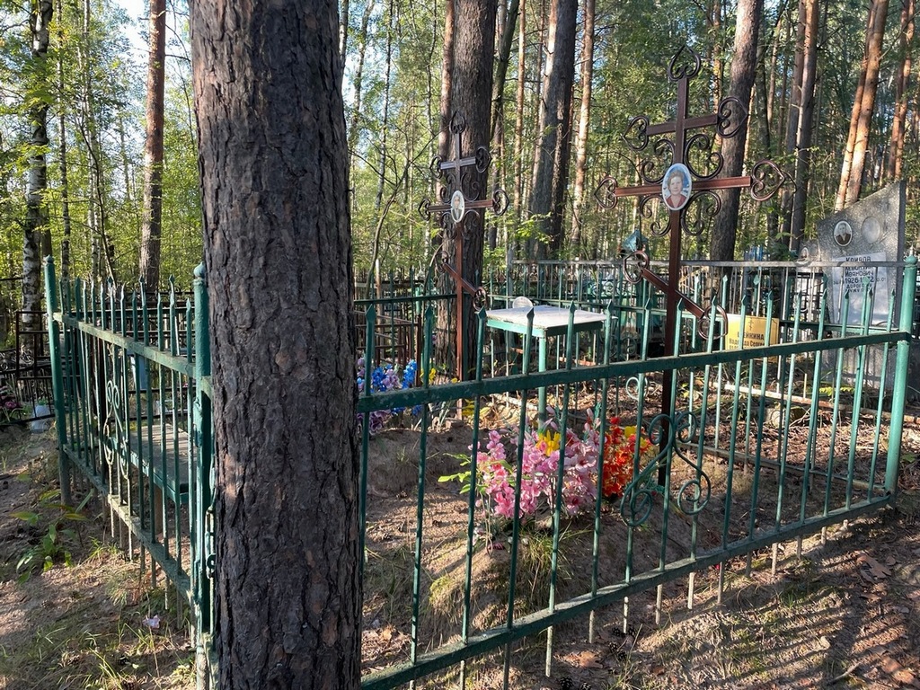 Шейкин Николай Никифорович