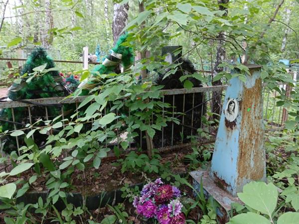 Ульянов Владимир Петрович