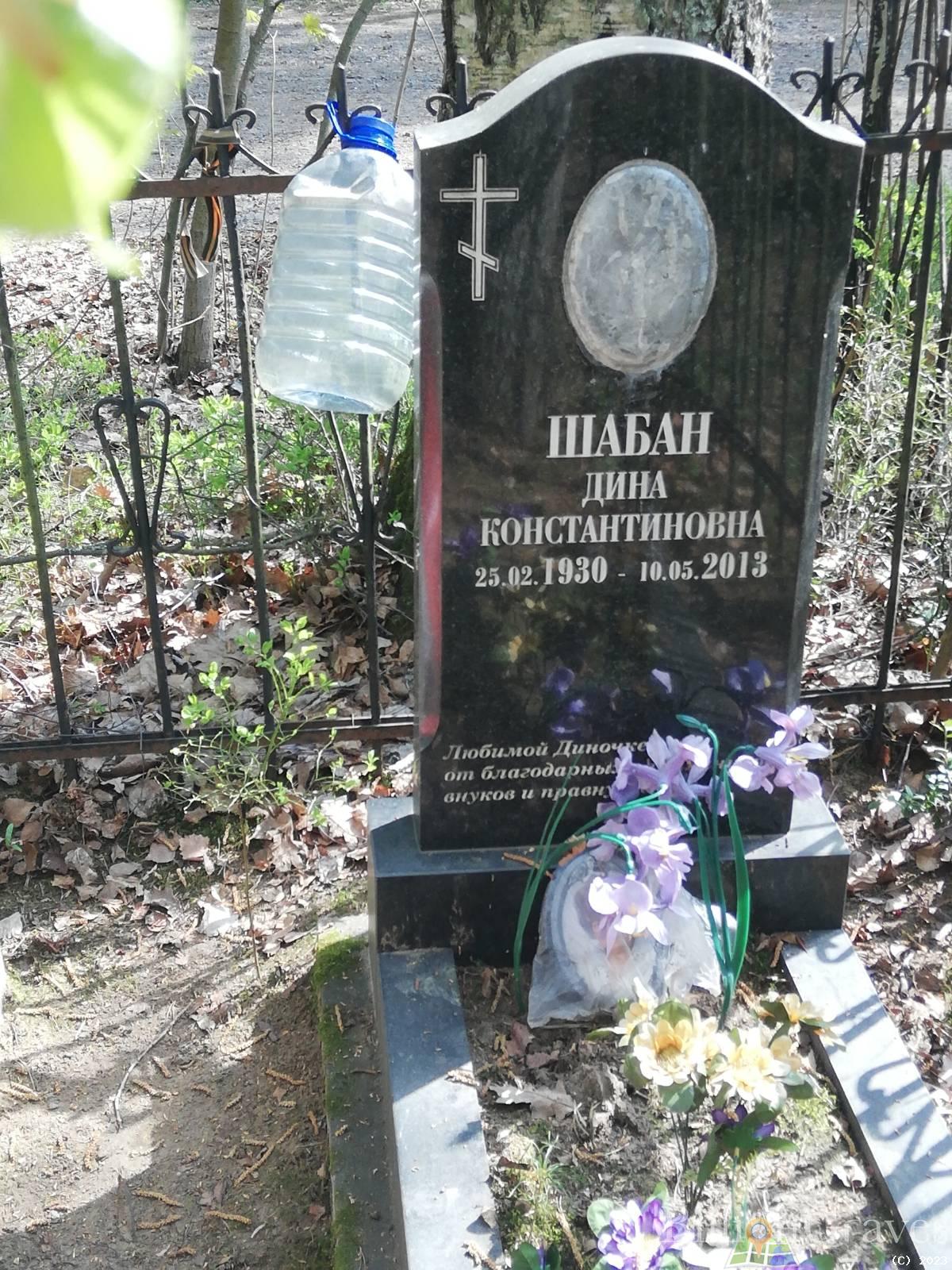 Шабан Дина Константиновна