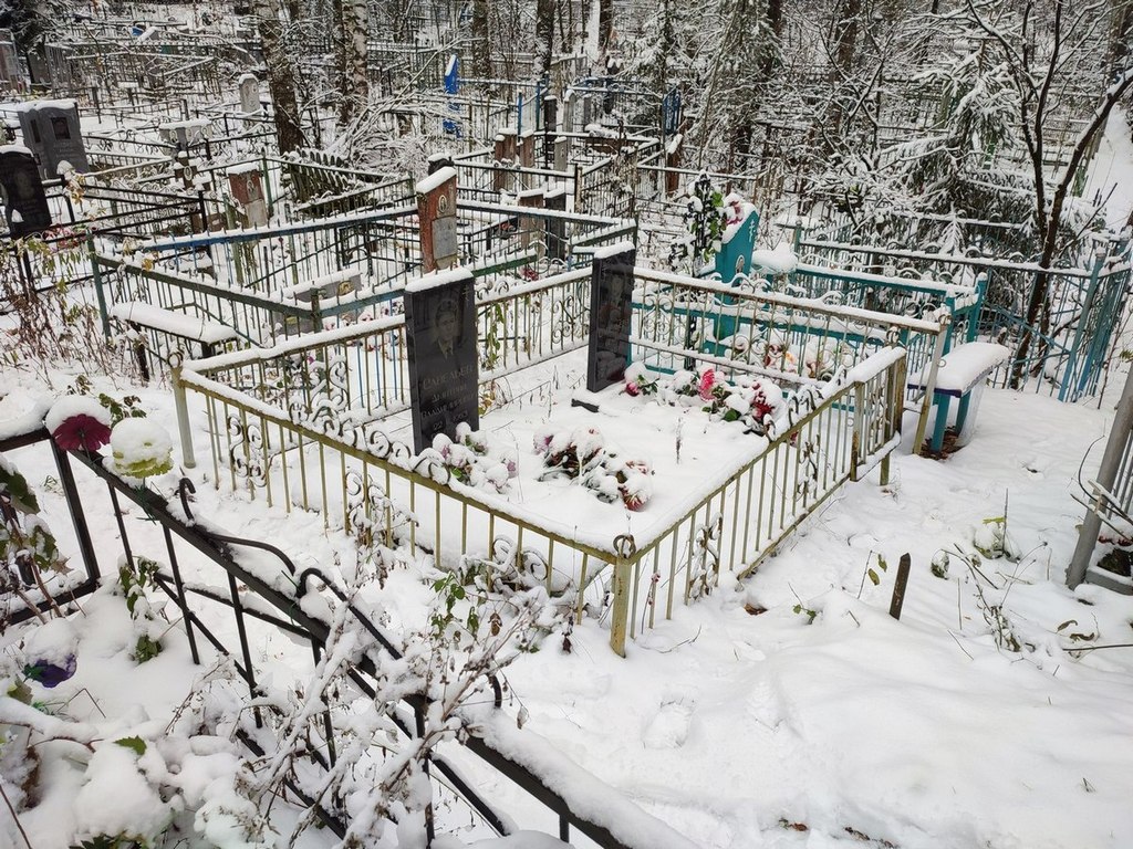 Савельев Дмитрий Владимирович