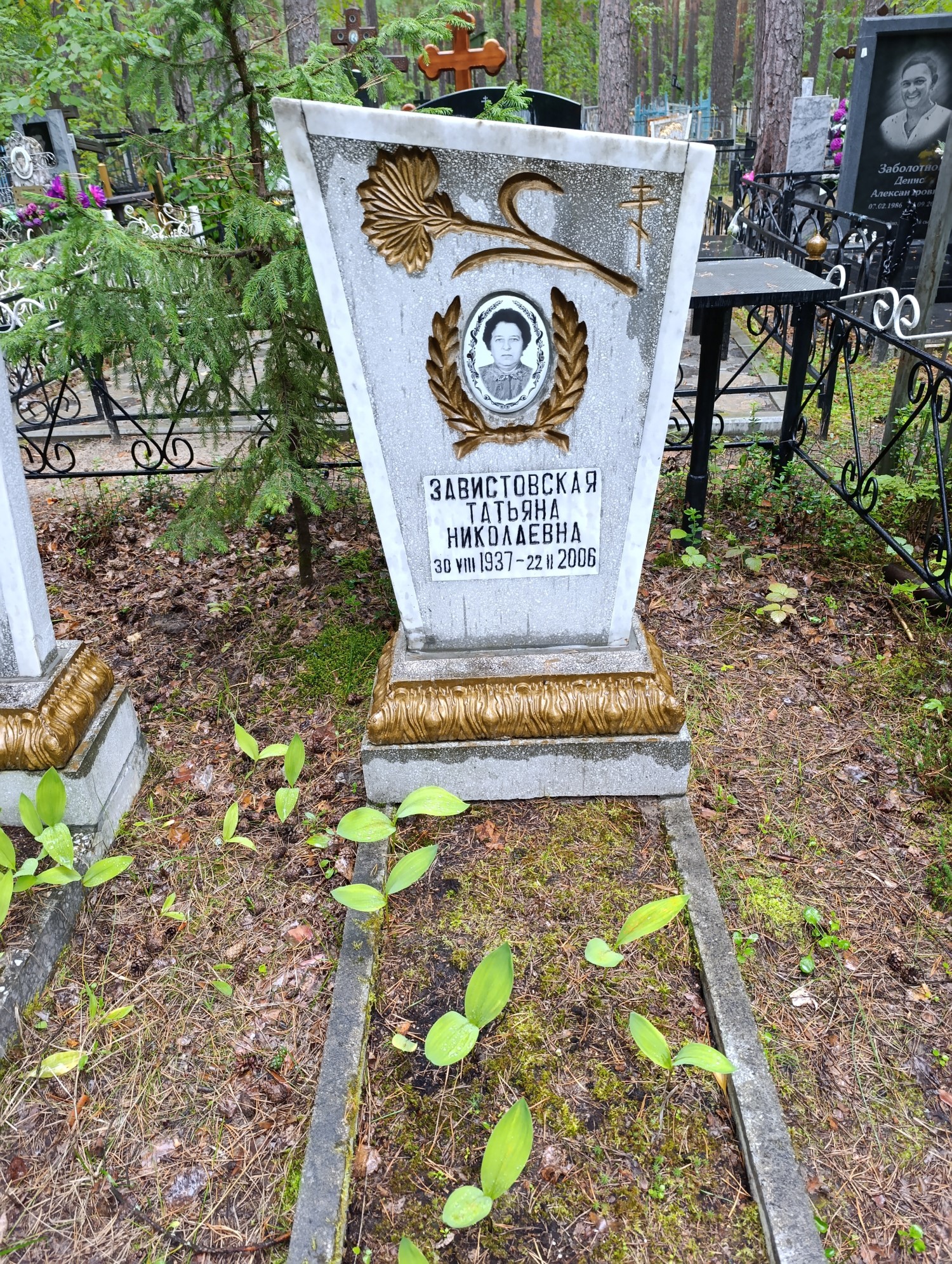 Завистовская Татьяна Николаевна