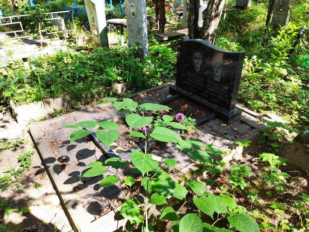 Воронова Валентина Васильевна