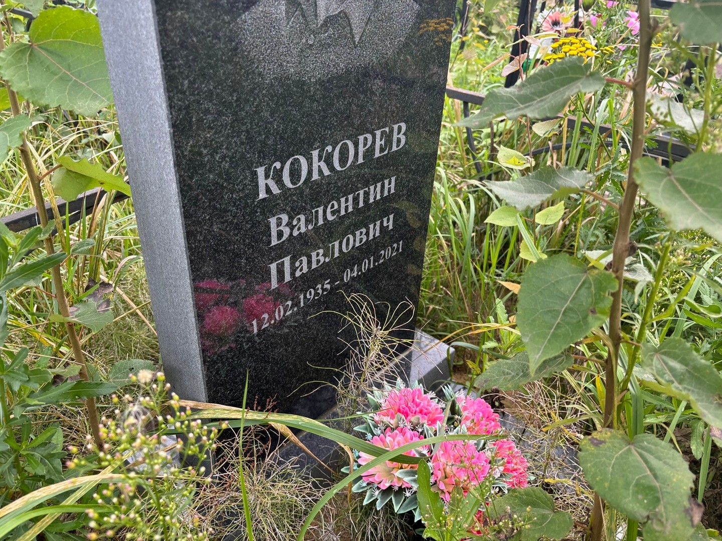 Кокорев