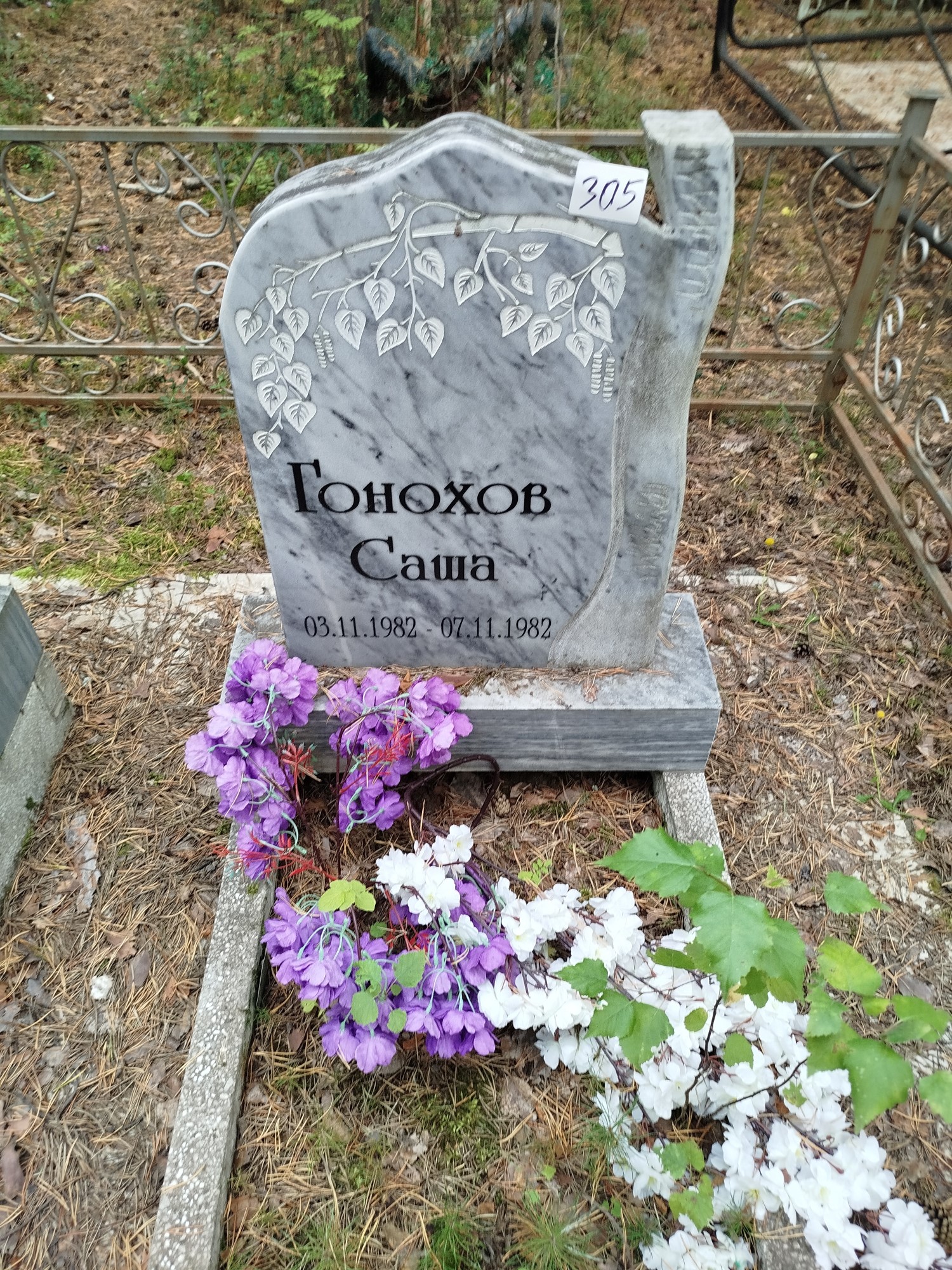 Гонохов Саша