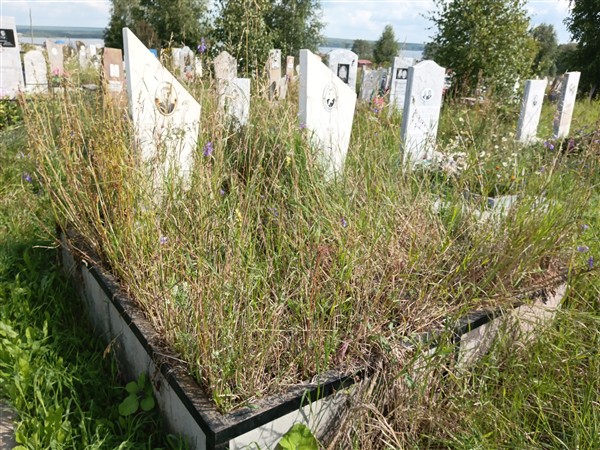 Горбунова Вера Ильинична