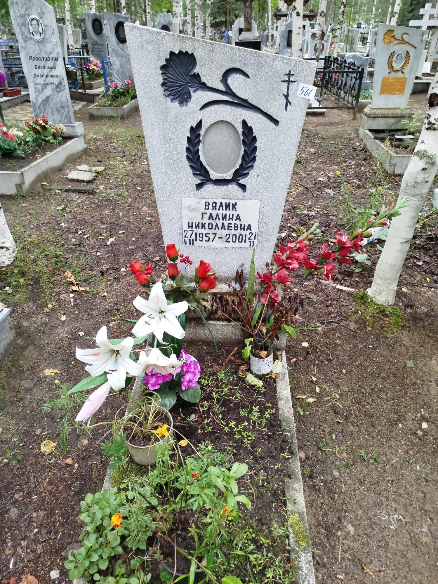 Вялик Галина Николаевна