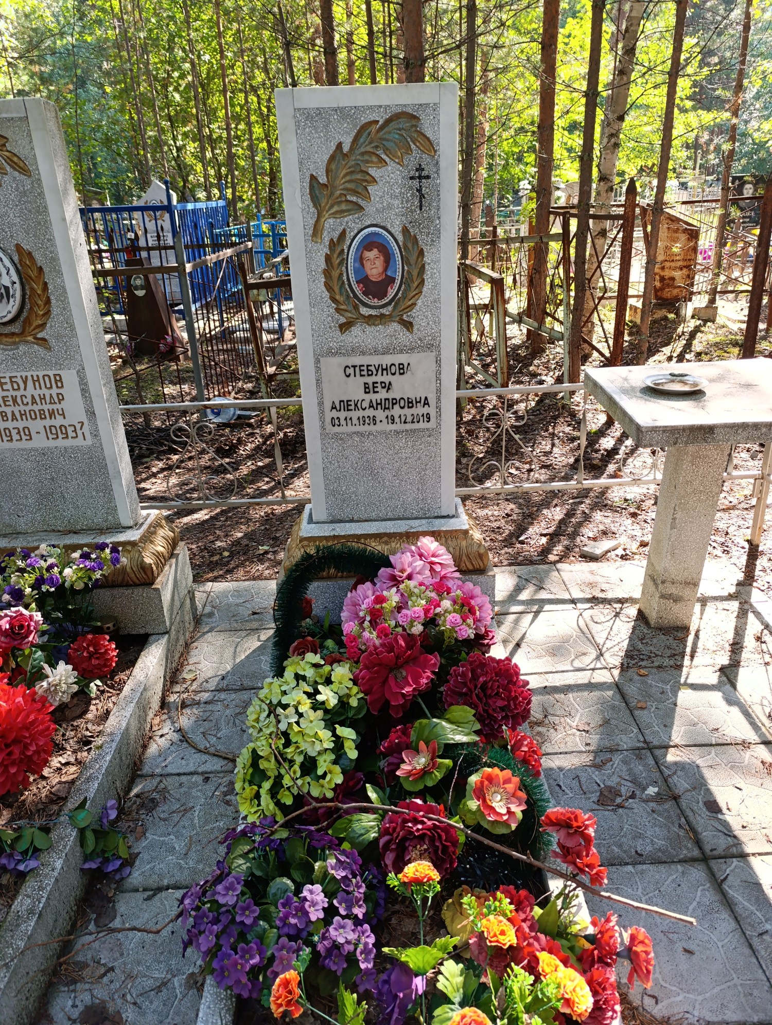 Стебунова Вера Александровна