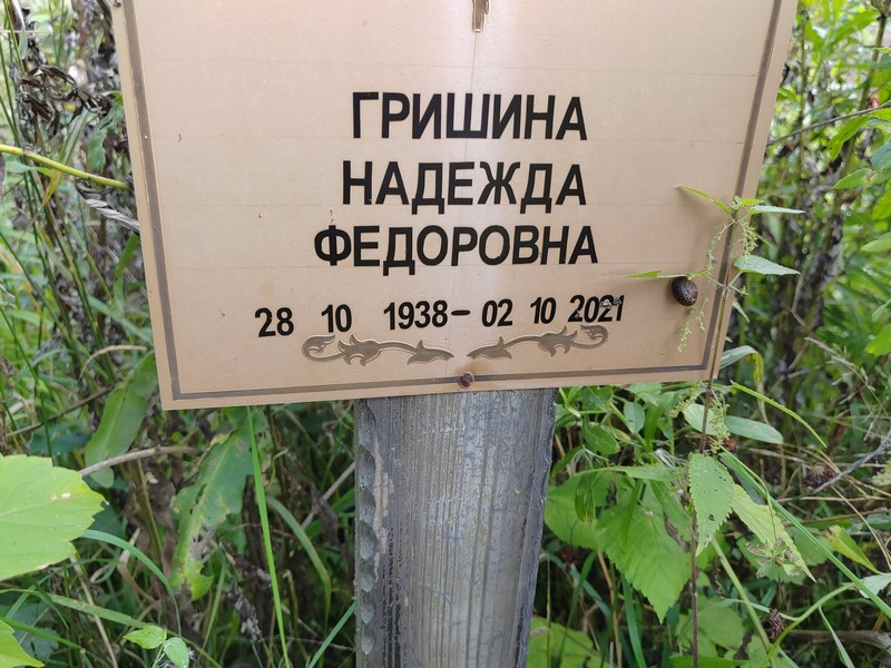 Гришина