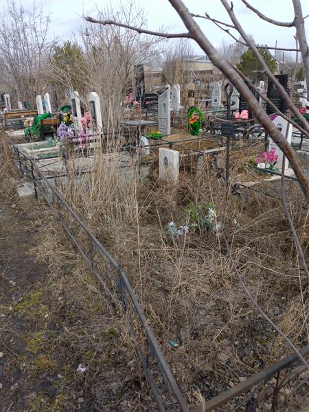 Погорелова Анастасия Николаевна
