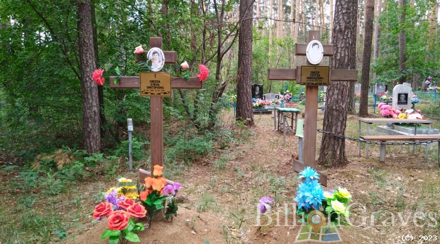 Змеева Елена Викторовна
