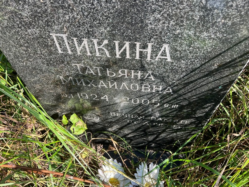 Пикина