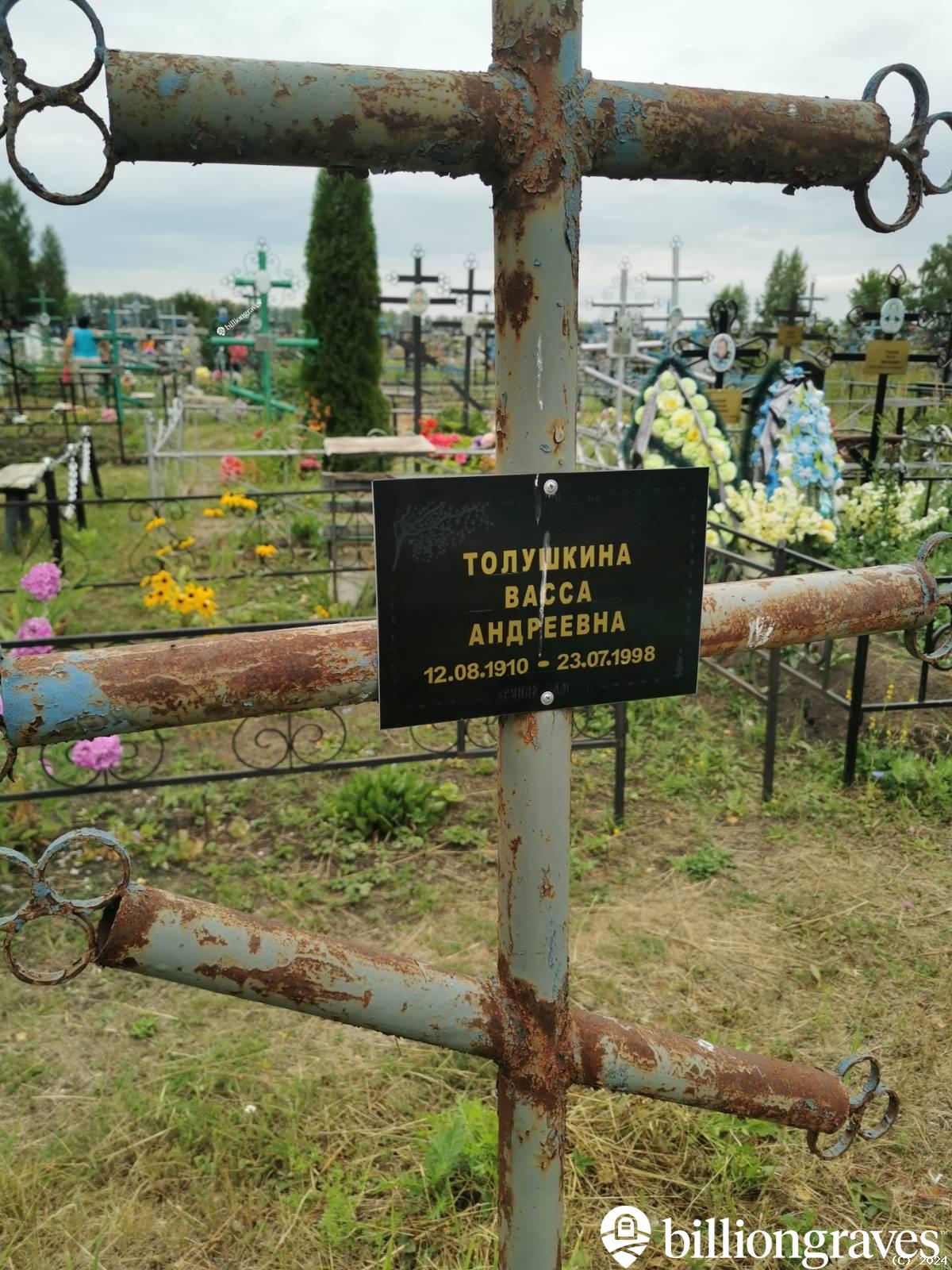 Толушкина Васса Андреевна