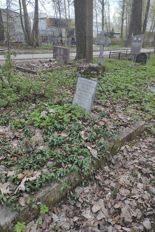 Павлов Владимир Евгеньевич