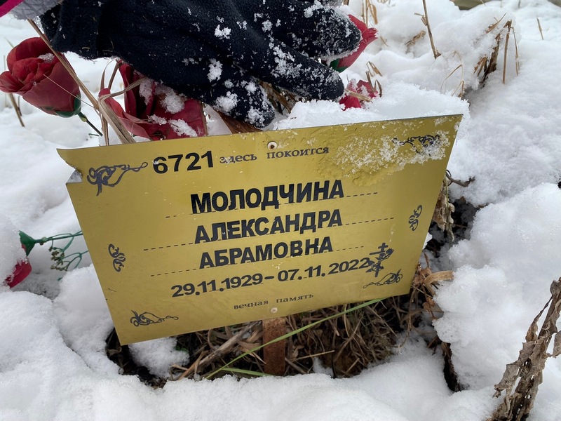 Молодчина Александра Абрамовна