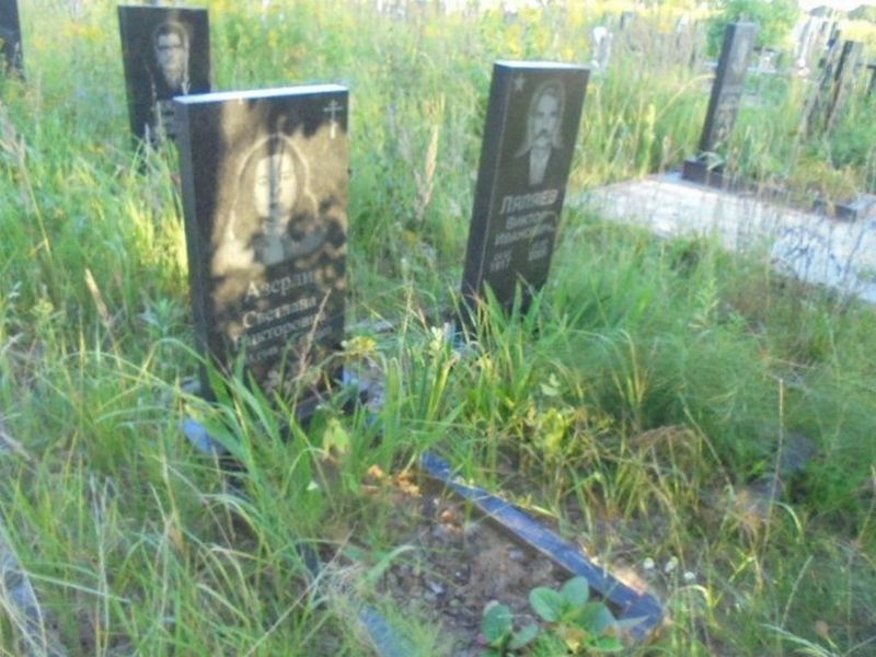 Азерли Светлана Викторовна