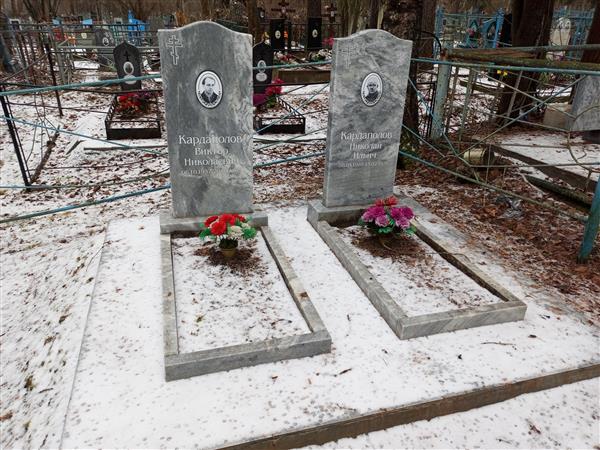Кардаполов Виктор Николаевич