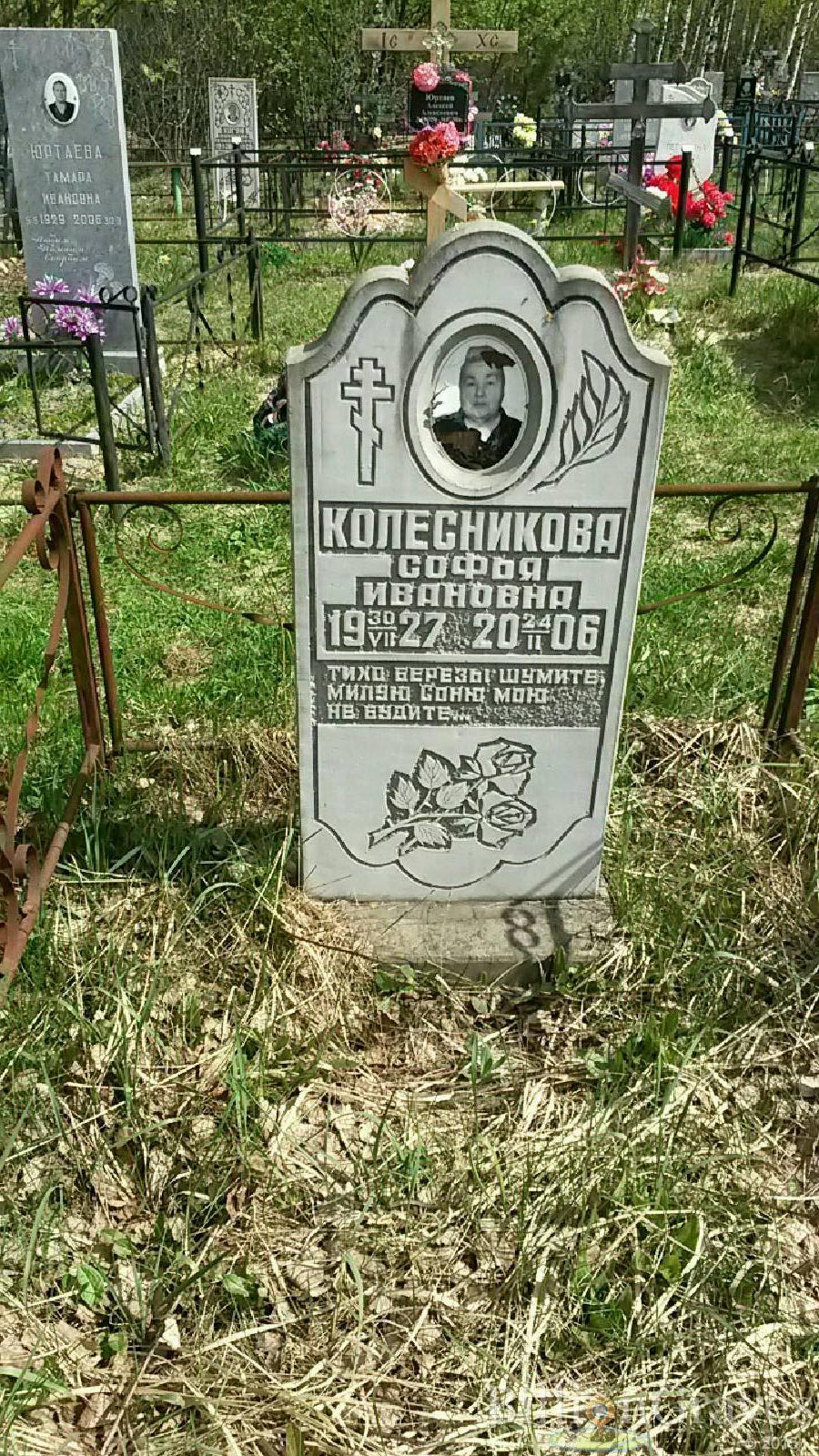 колесникова софья ивановна