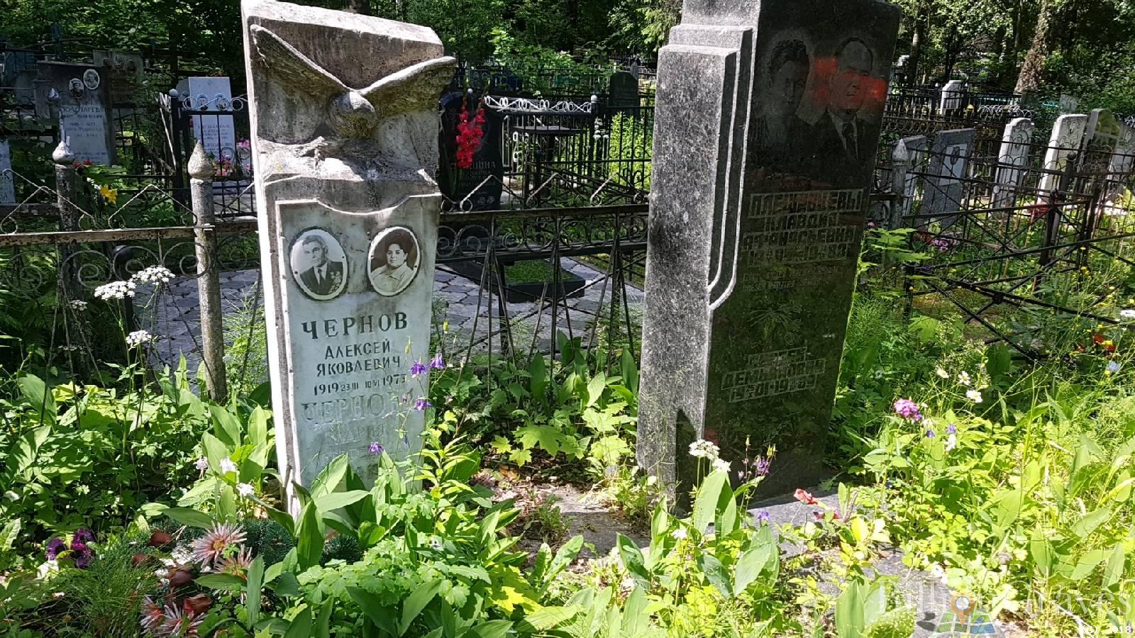плещевцева сергей демьянович