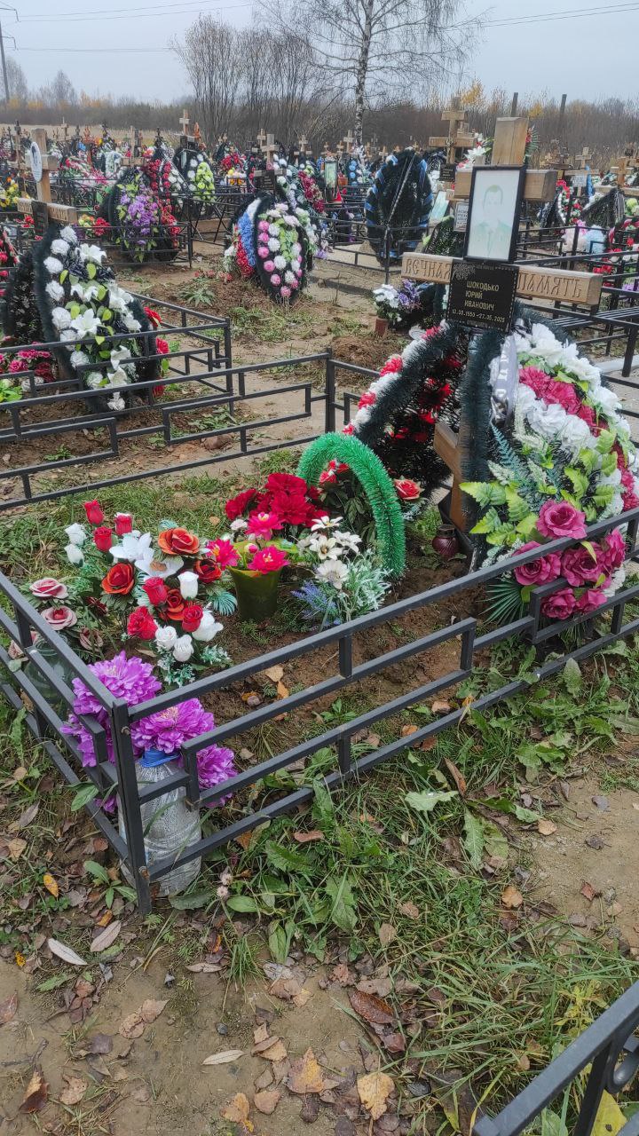 Шокодько