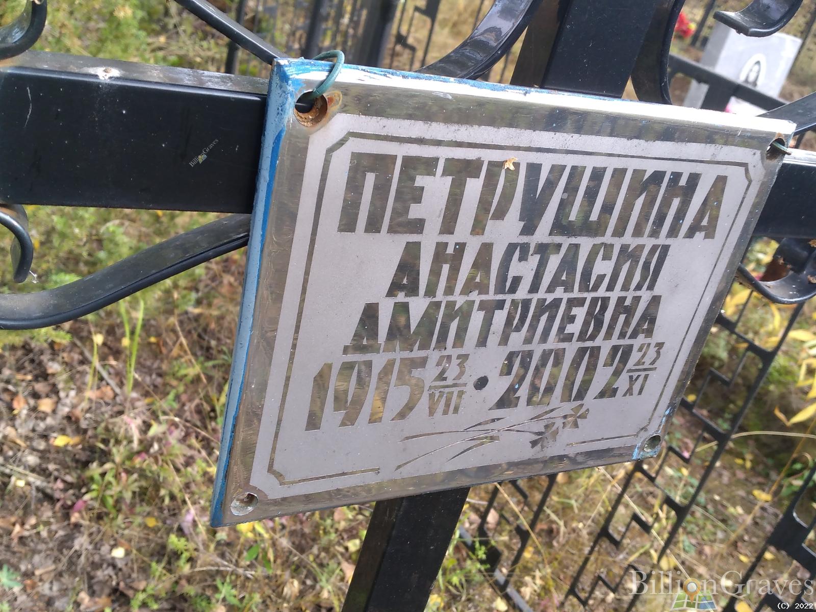 Петрушина Анастасия Дмитриевна
