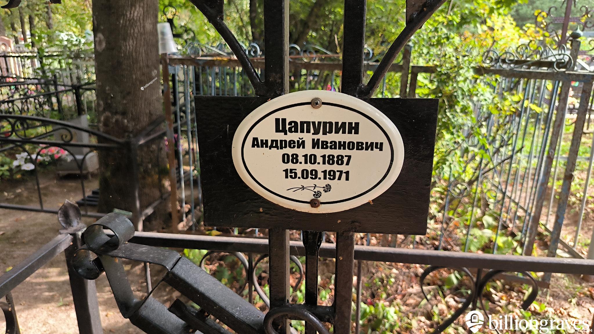 Цапурин Андрей Иванович