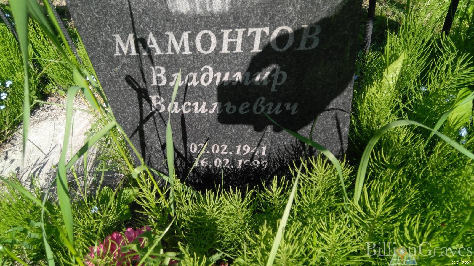 Мамонтов Владимир Васильевич