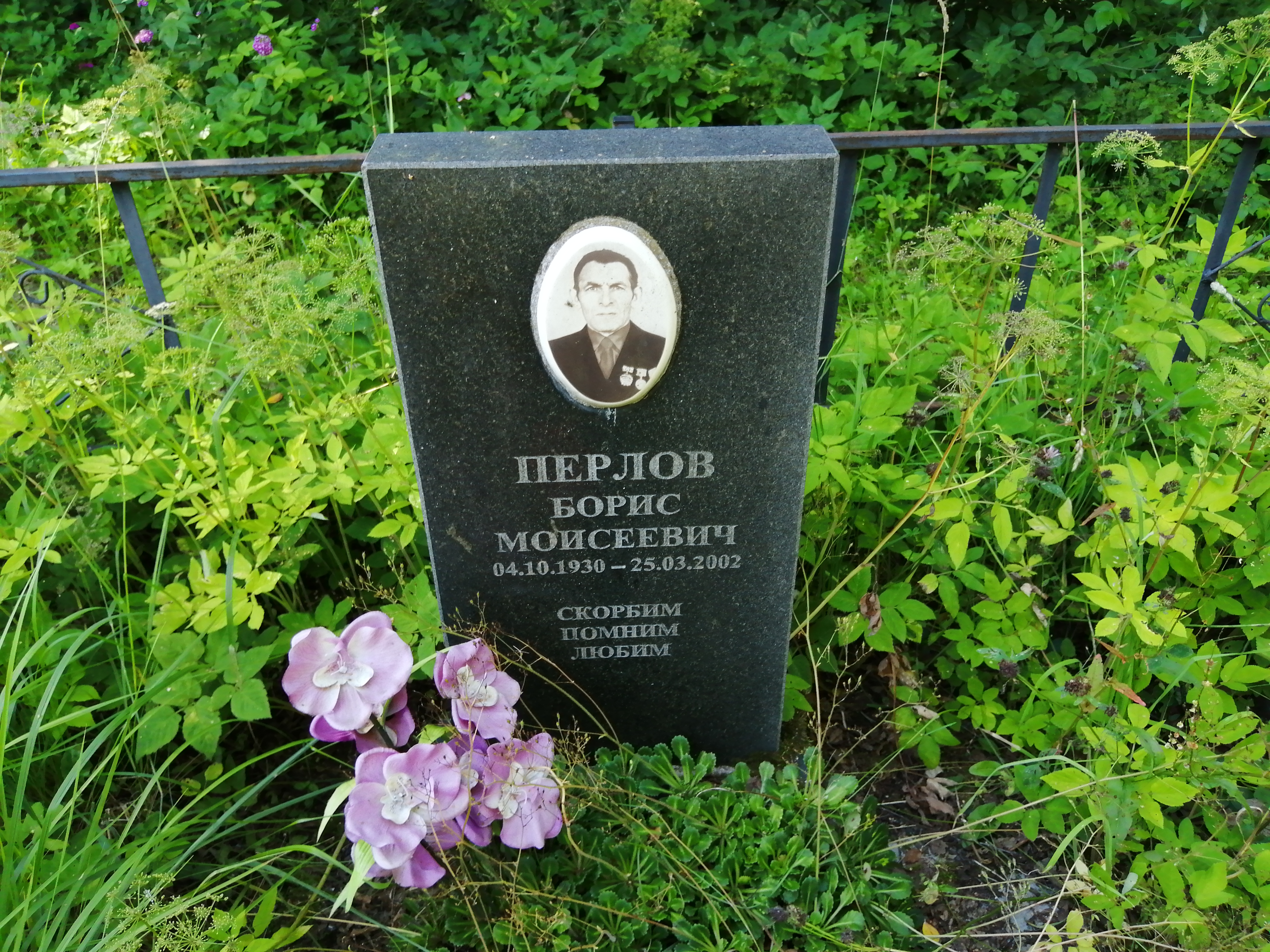 Перлов Борис Моисеевич