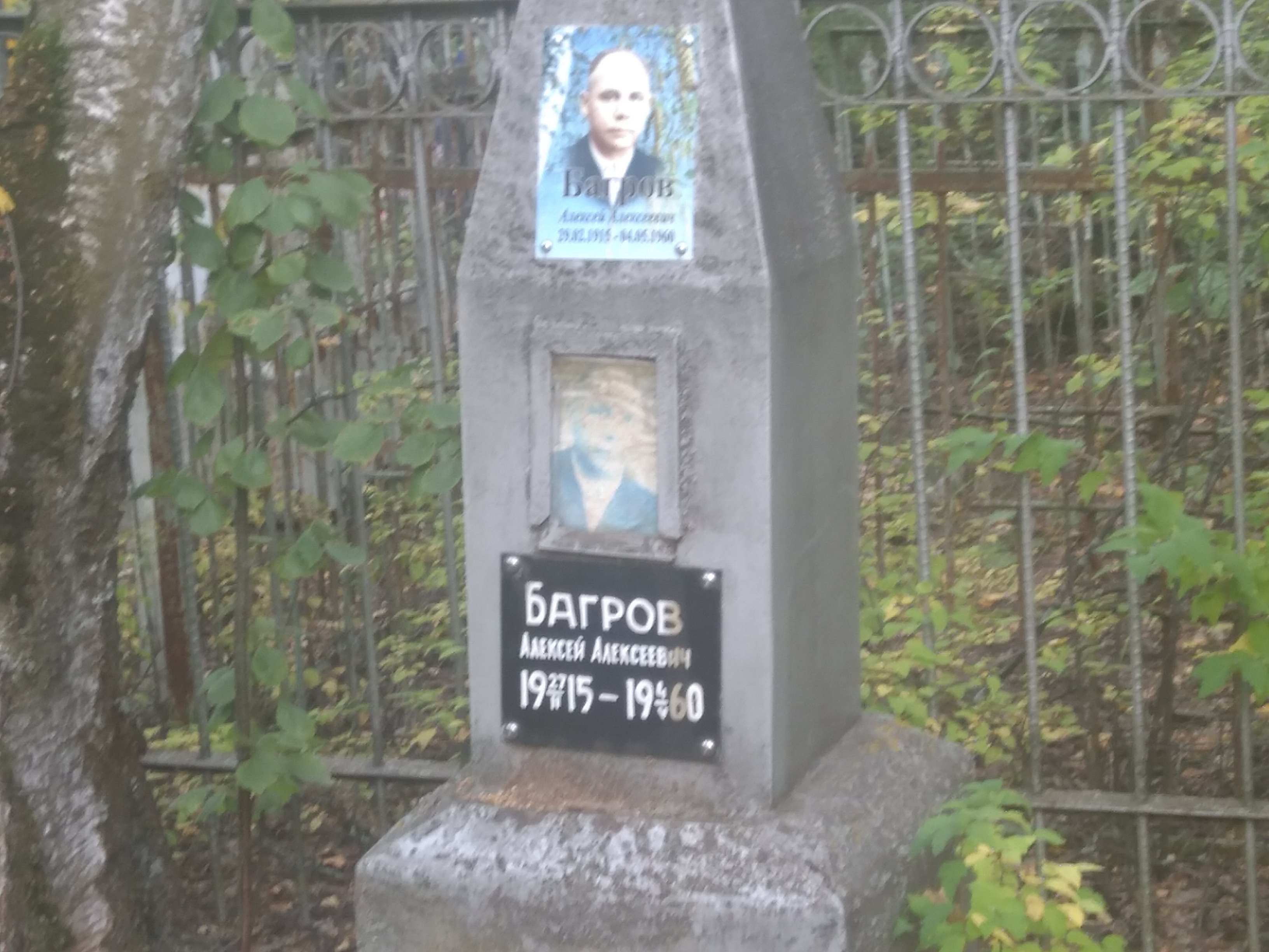 Багров Алексей Алексеевич
