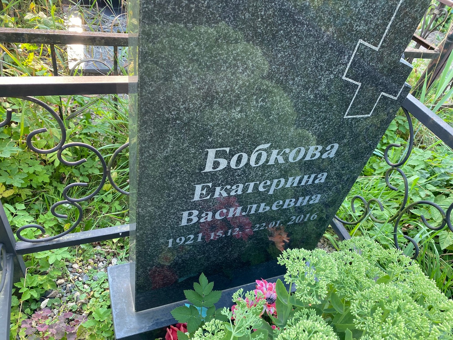 Бобкова