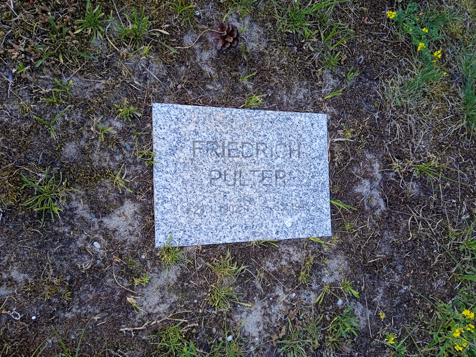 Pulter Friedrich