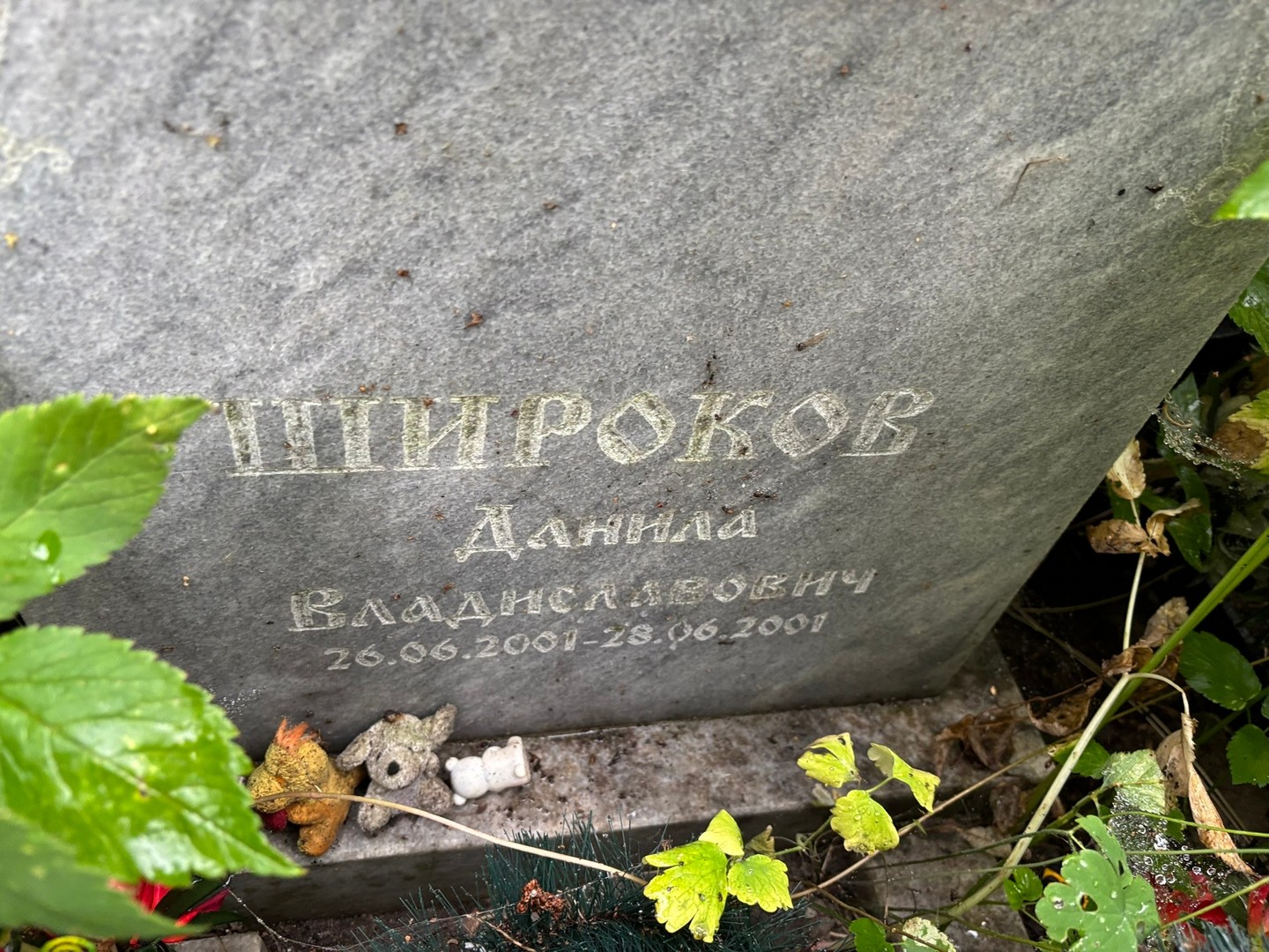 Данила Широков Владиславович